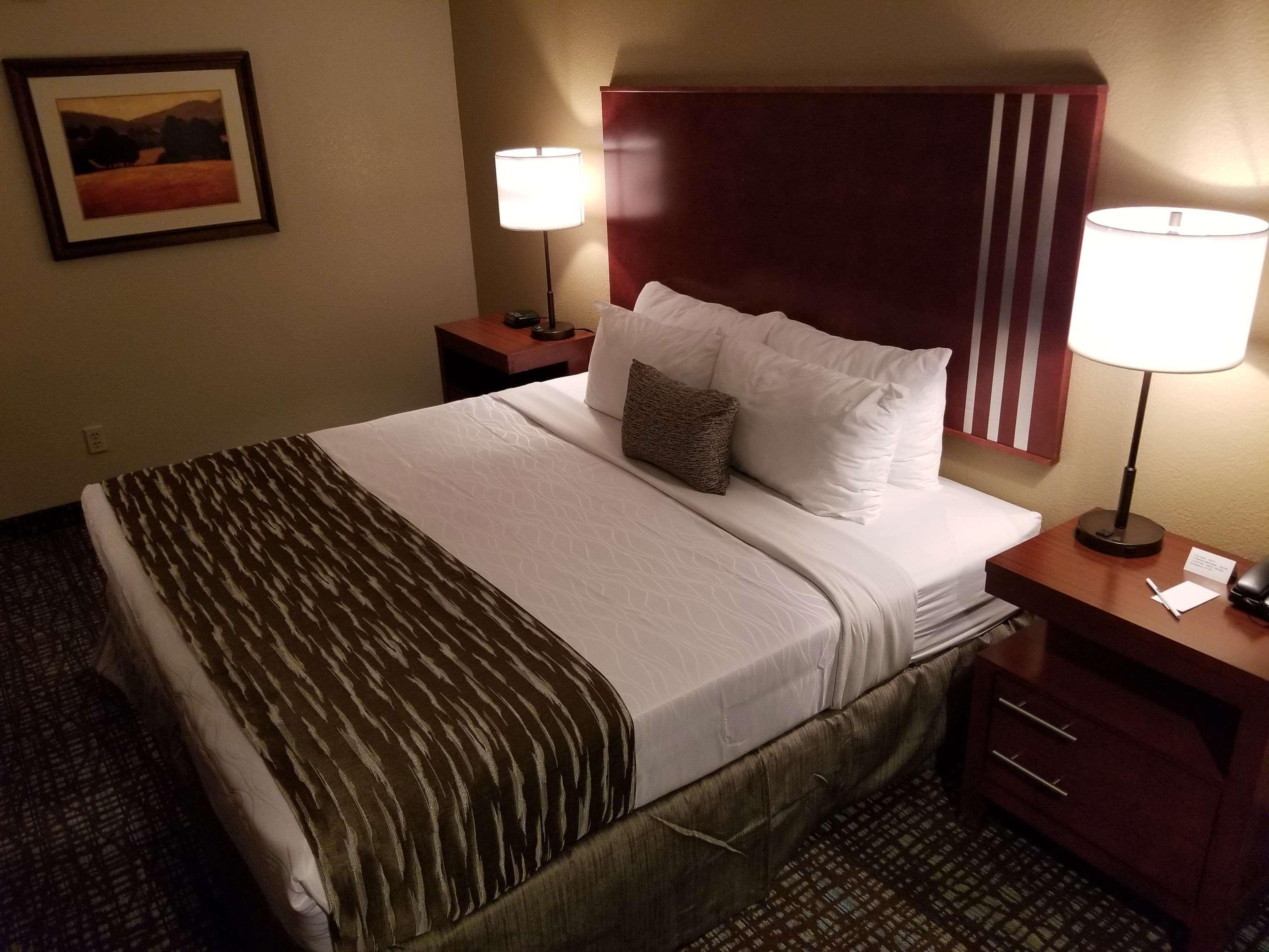 Best Western Plus Palm Court Hotel Davis Εξωτερικό φωτογραφία